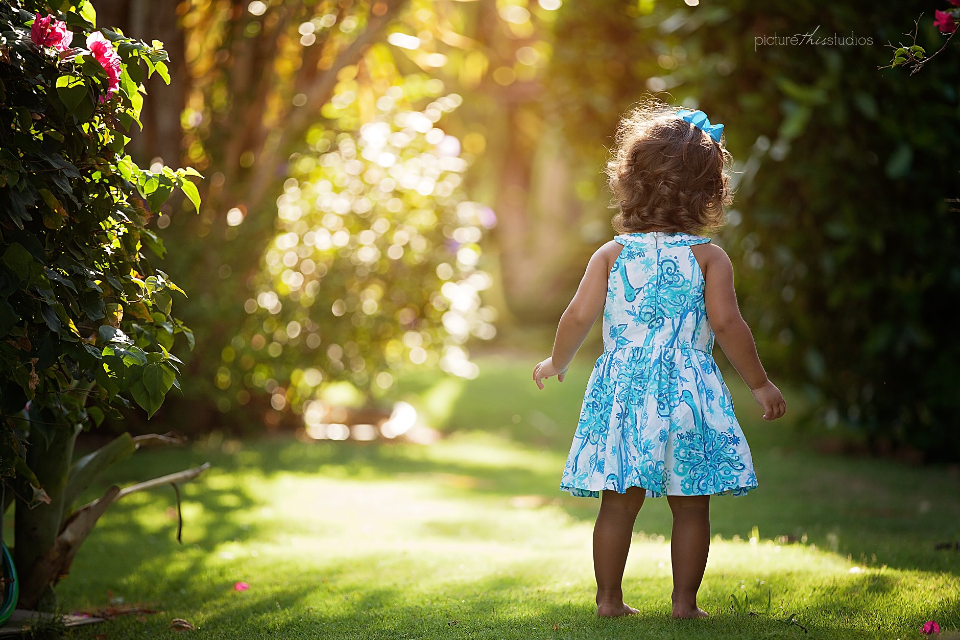 baby photography grand cayman