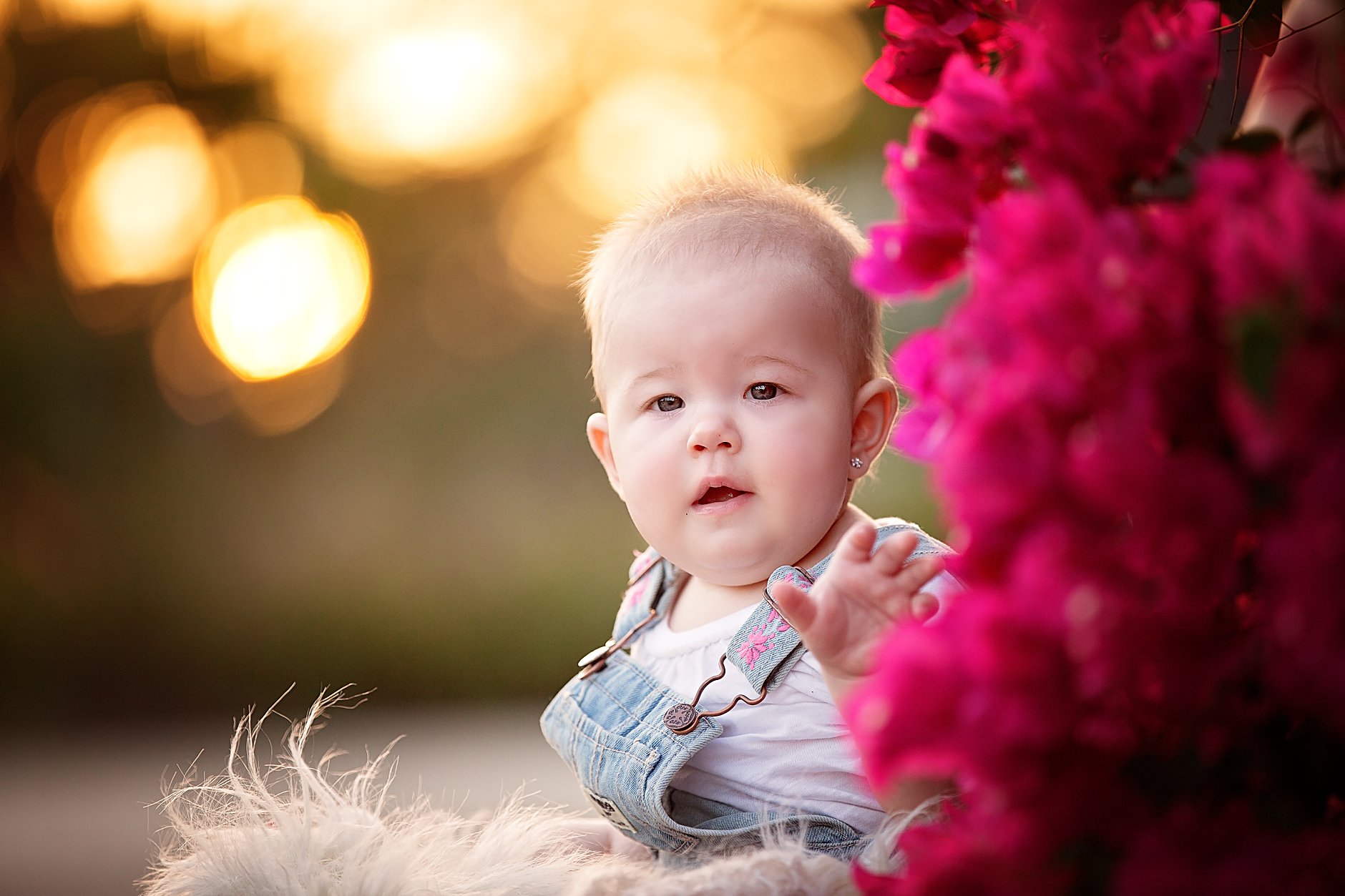 baby photography cayman islands