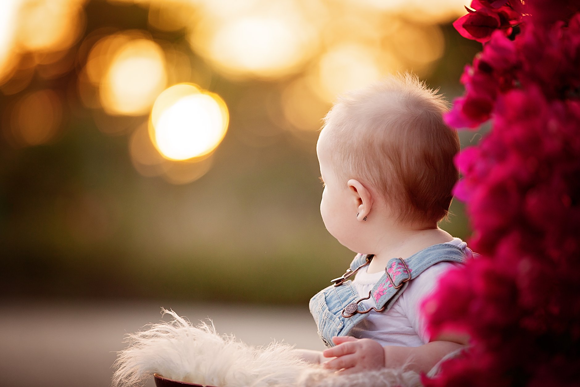 baby photography cayman islands