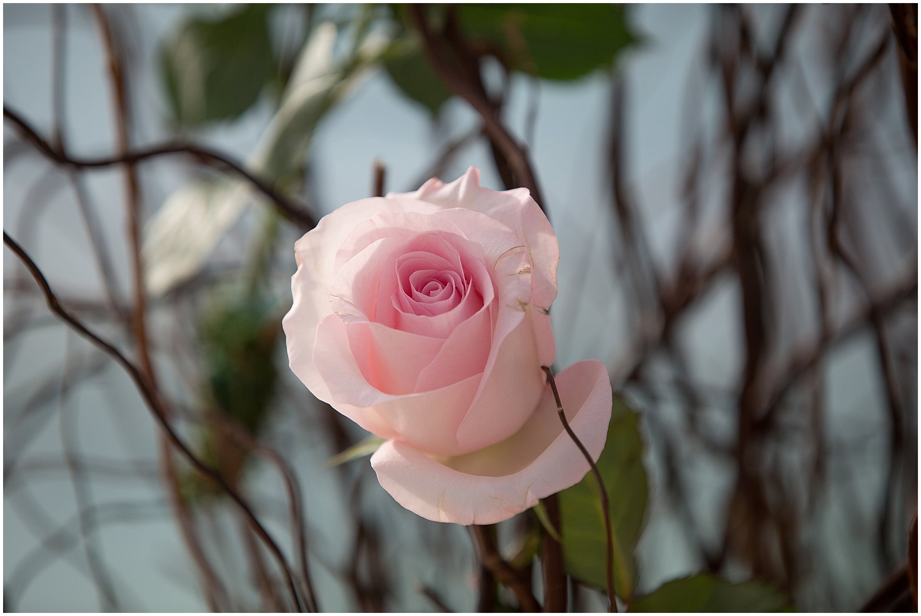 grand cayman wedding photographers_0754