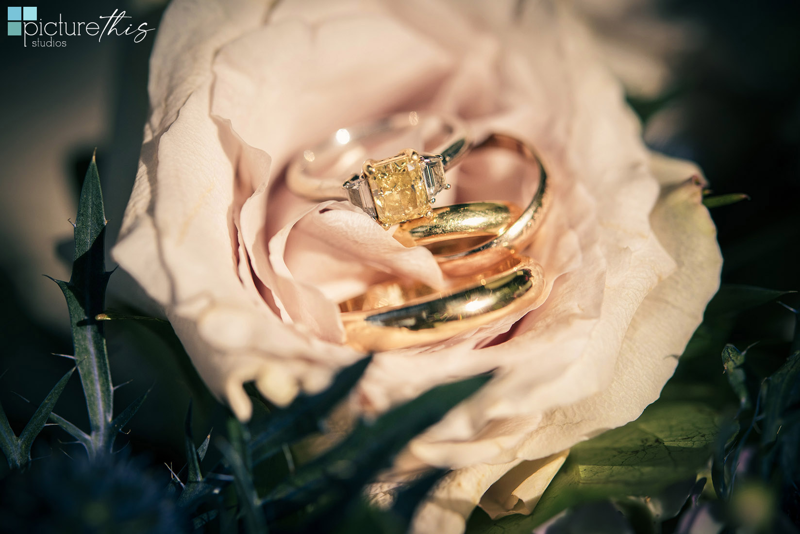 Picture This Studios and Heather Holt Photography captured this beautiful Cayman Islands Wedding held at the Meridian.