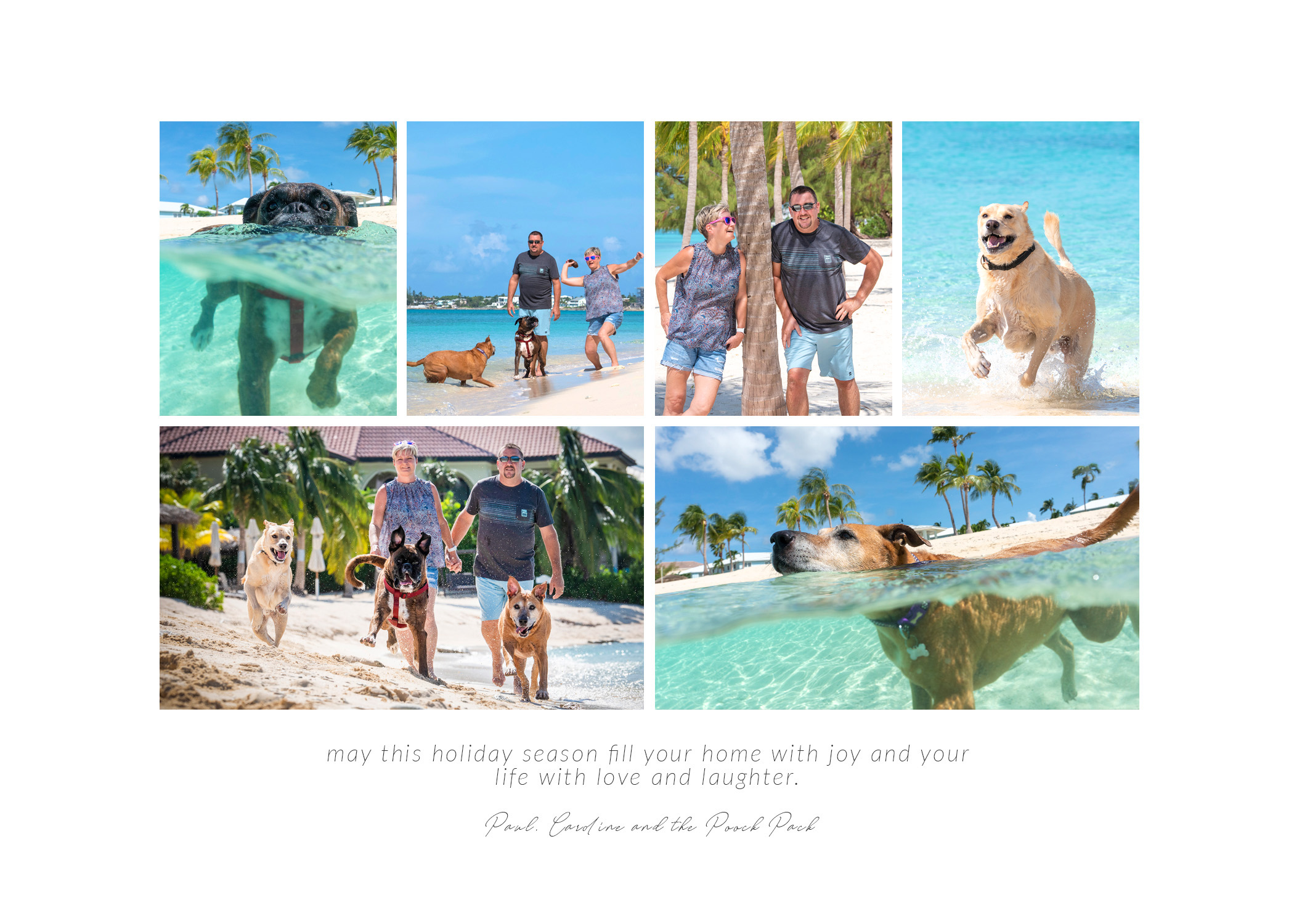 grandcaymanphotographer,caymanislandsphotography,familyportraits,visitcaymanislands,caymanislands,grandcayman,grandcaymanphotographer,caymanweddingphotographer,weddingphotographer,portraitphotographer,caymanportraitphotographer,caymanislandsphotographer,caribbean,dogs,capturingthemoment,dogportraits,petportraits,swimmingdogs,swimming,rescuedog,beachdog,underwaterphotography,picturethisstudios,heatherholtphotography,christmascards