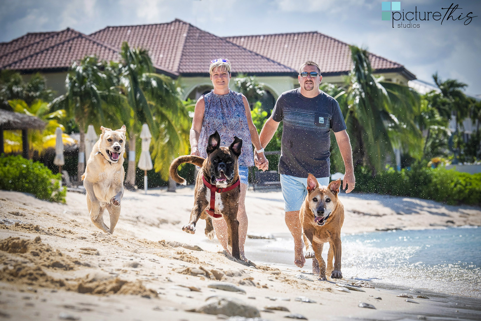 grandcaymanphotographer,caymanislandsphotography,familyportraits,visitcaymanislands,caymanislands,grandcayman,grandcaymanphotographer,caymanweddingphotographer,weddingphotographer,portraitphotographer,caymanportraitphotographer,caymanislandsphotographer,caribbean,dogs,capturingthemoment,dogportraits,petportraits,swimmingdogs,swimming,rescuedog,beachdog,underwaterphotography,picturethisstudios,heatherholtphotography