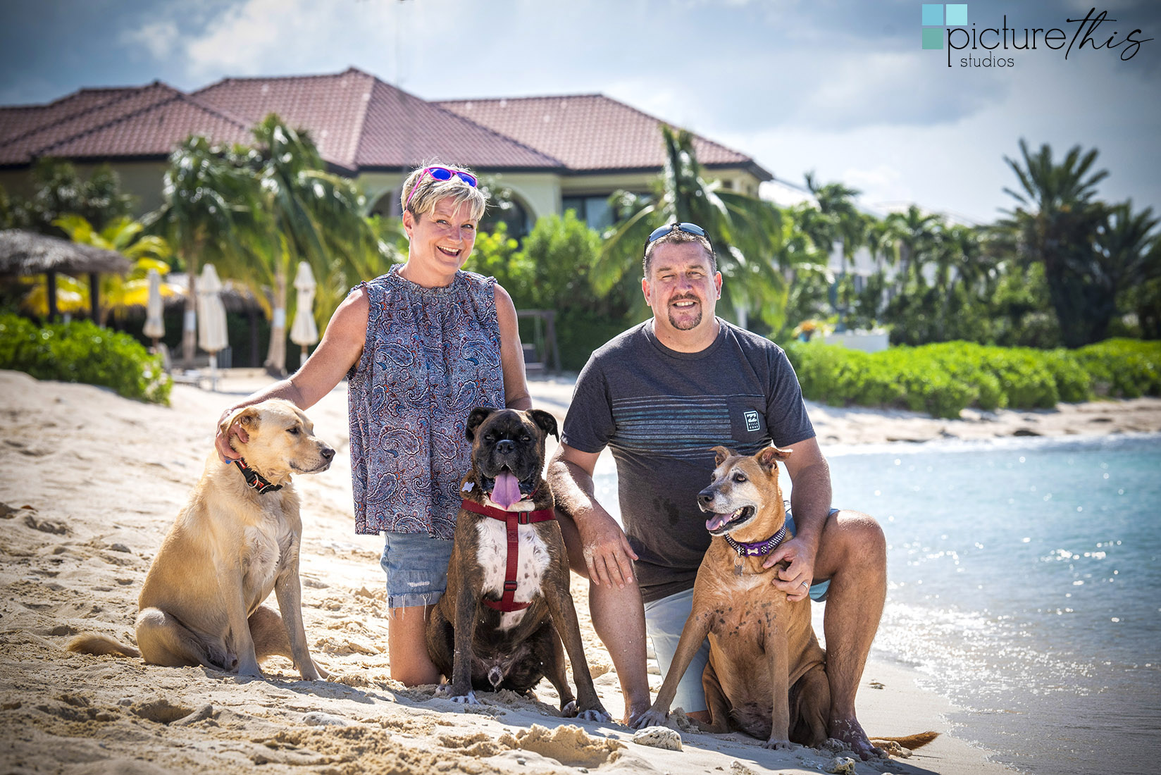 grandcaymanphotographer,caymanislandsphotography,familyportraits,visitcaymanislands,caymanislands,grandcayman,grandcaymanphotographer,caymanweddingphotographer,weddingphotographer,portraitphotographer,caymanportraitphotographer,caymanislandsphotographer,caribbean,dogs,capturingthemoment,dogportraits,petportraits,swimmingdogs,swimming,rescuedog,beachdog,underwaterphotography,picturethisstudios,heatherholtphotography