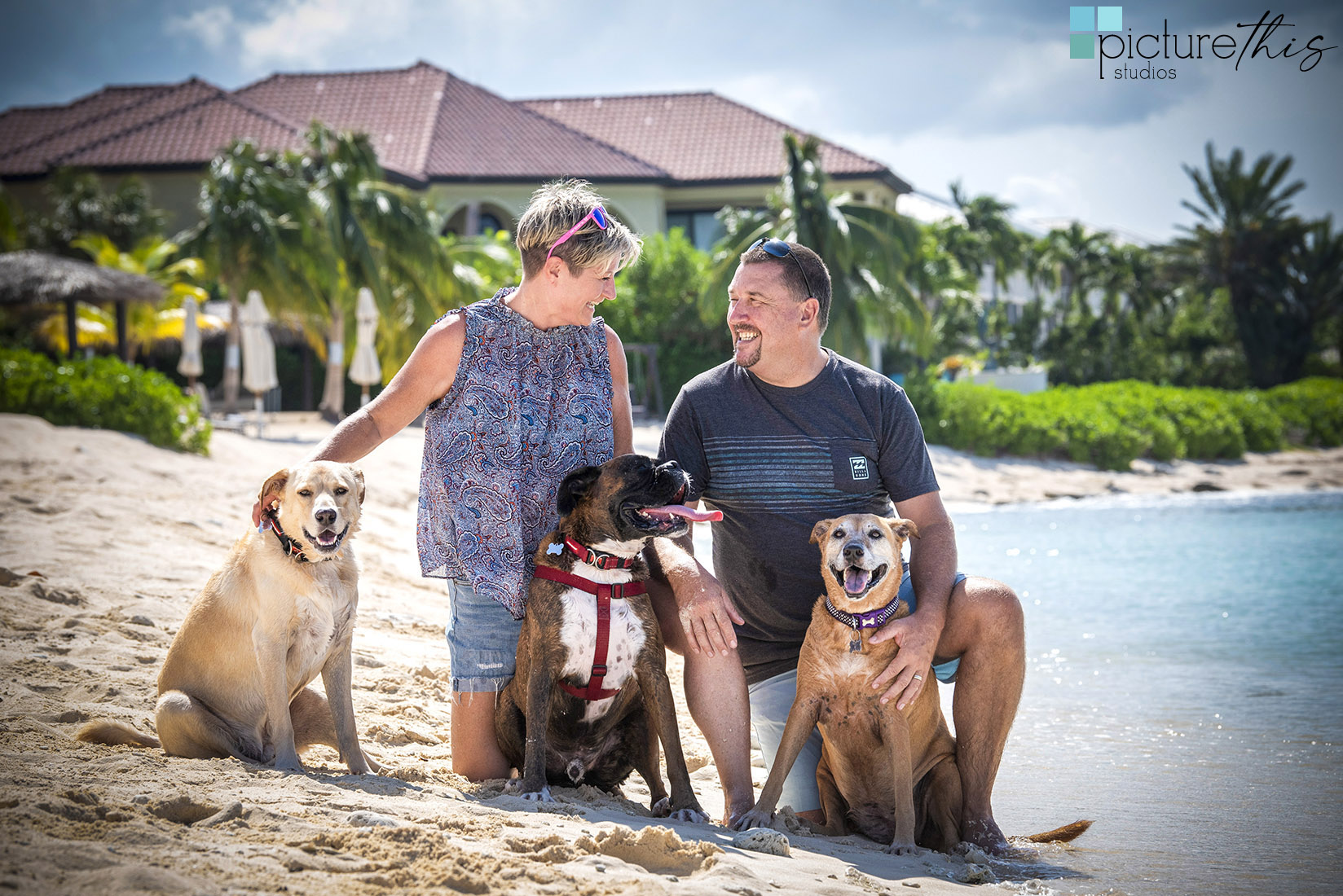 grandcaymanphotographer,caymanislandsphotography,familyportraits,visitcaymanislands,caymanislands,grandcayman,grandcaymanphotographer,caymanweddingphotographer,weddingphotographer,portraitphotographer,caymanportraitphotographer,caymanislandsphotographer,caribbean,dogs,capturingthemoment,dogportraits,petportraits,swimmingdogs,swimming,rescuedog,beachdog,underwaterphotography,picturethisstudios,heatherholtphotography