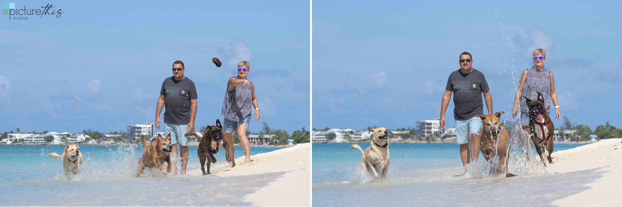 grandcaymanphotographer,caymanislandsphotography,familyportraits,visitcaymanislands,caymanislands,grandcayman,grandcaymanphotographer,caymanweddingphotographer,weddingphotographer,portraitphotographer,caymanportraitphotographer,caymanislandsphotographer,caribbean,dogs,capturingthemoment,dogportraits,petportraits,swimmingdogs,swimming,rescuedog,beachdog,underwaterphotography,picturethisstudios,heatherholtphotography