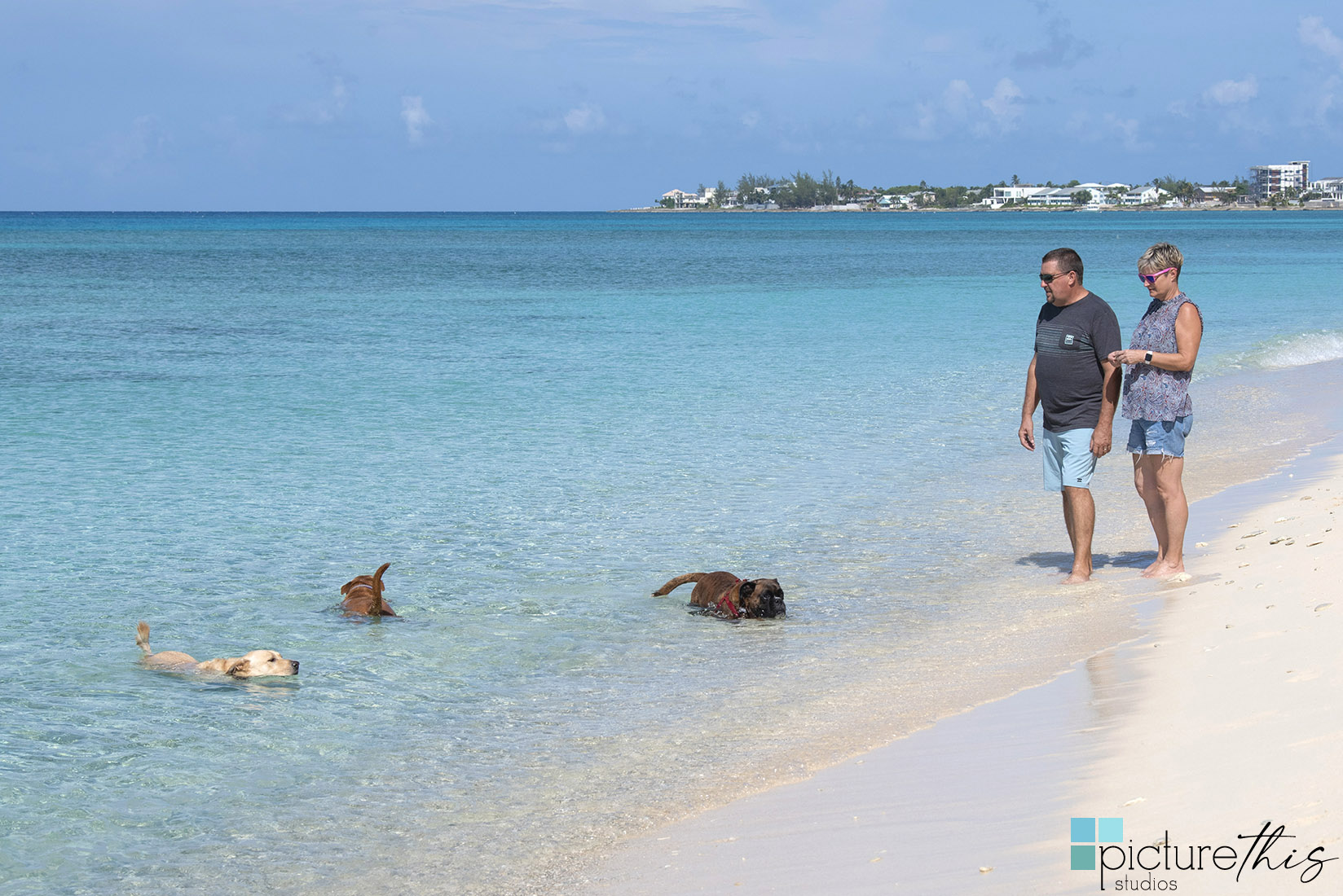 grandcaymanphotographer,caymanislandsphotography,familyportraits,visitcaymanislands,caymanislands,grandcayman,grandcaymanphotographer,caymanweddingphotographer,weddingphotographer,portraitphotographer,caymanportraitphotographer,caymanislandsphotographer,caribbean,dogs,capturingthemoment,dogportraits,petportraits,swimmingdogs,swimming,rescuedog,beachdog,underwaterphotography,picturethisstudios,heatherholtphotography