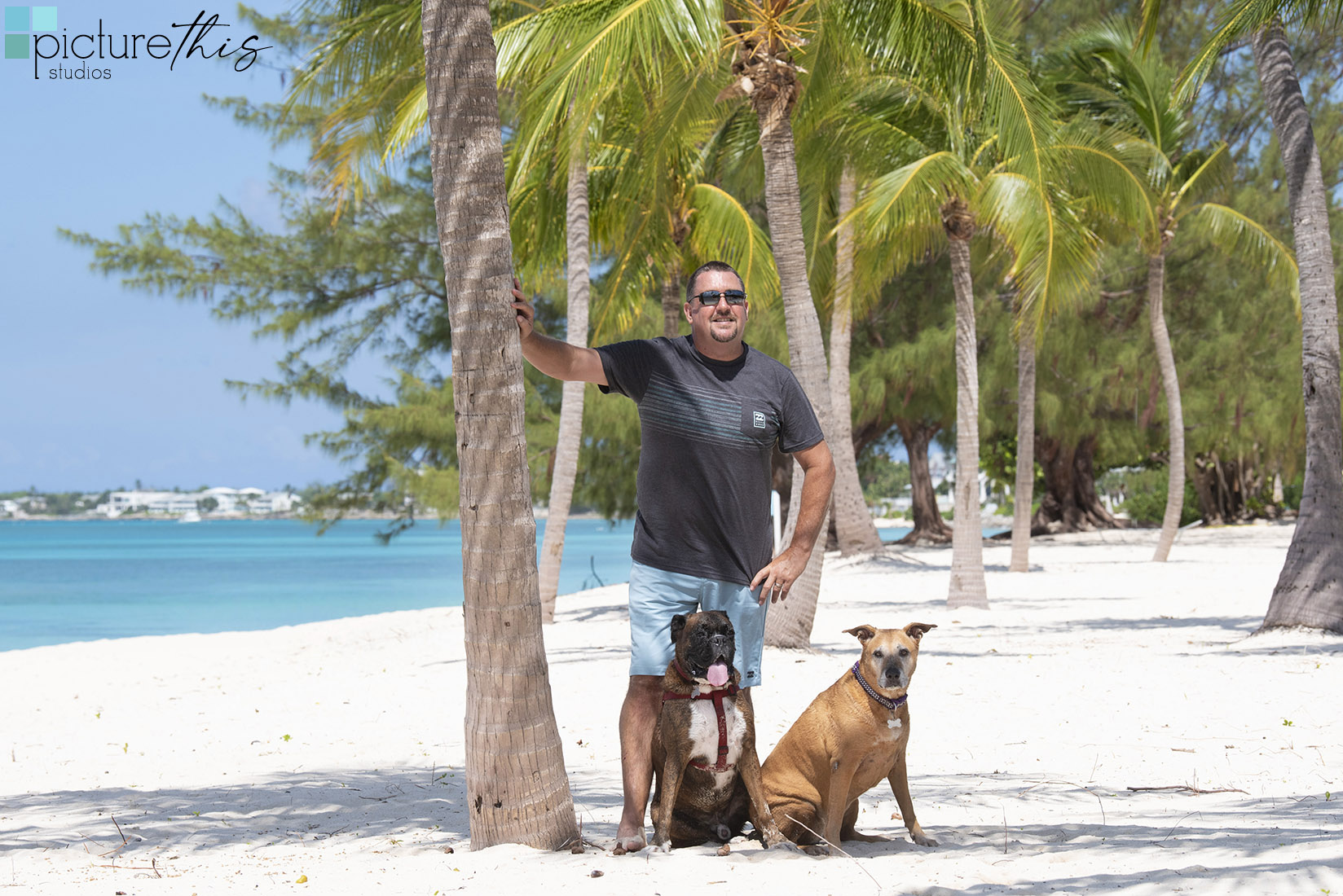 grandcaymanphotographer,caymanislandsphotography,familyportraits,visitcaymanislands,caymanislands,grandcayman,grandcaymanphotographer,caymanweddingphotographer,weddingphotographer,portraitphotographer,caymanportraitphotographer,caymanislandsphotographer,caribbean,dogs,capturingthemoment,dogportraits,petportraits,swimmingdogs,swimming,rescuedog,beachdog,underwaterphotography,picturethisstudios,heatherholtphotography