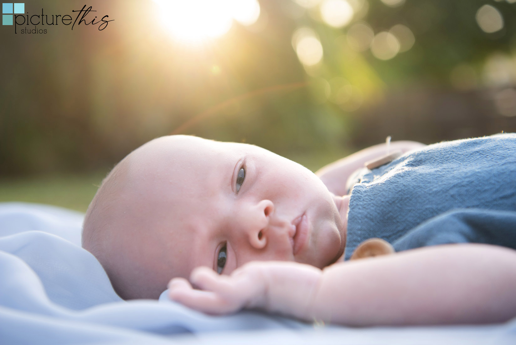 grandcaymanphotographer,caymanislandsphotography,familyportraits,visitcaymanislands,heatherholtphotography,picturethisstudios,caymanislands,grandcayman,grandcaymanphotographer,caymanweddingphotographer,weddingphotographer,portraitphotographer,caymanportraitphotographer,caymanislandsphotographer,caribbean,love,capturingthemoment,loveoffamily,newbornphotos,newborn,newbornphotographercayman,newbornphotography,newmom,newdad,petportraits